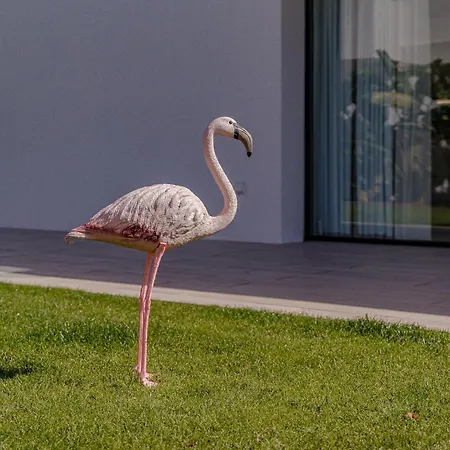 Don Carlos - Adults Only ! Appartement Playa de las Américas